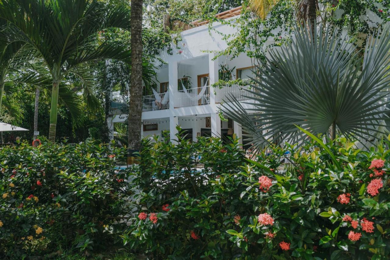 Casa Del Pavo Real Boutique Hotel Palomino Eksteriør billede