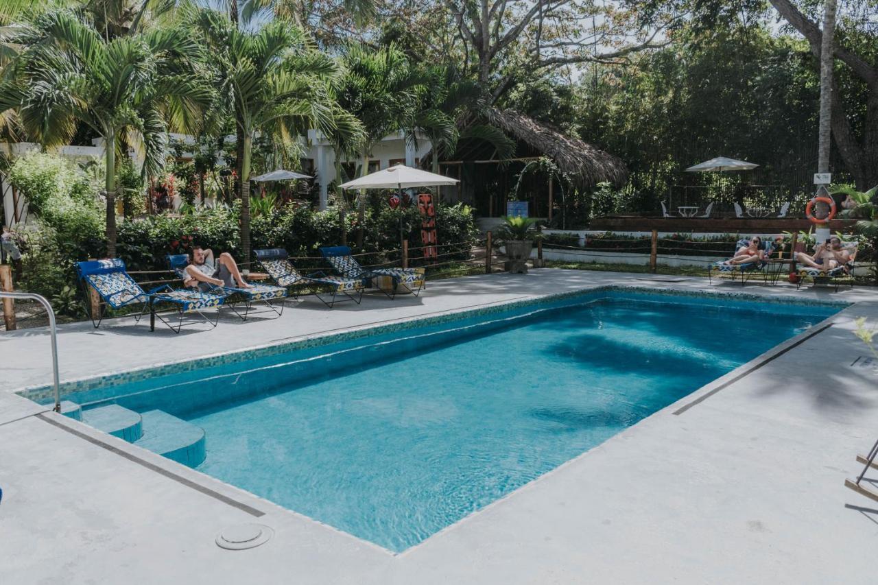 Casa Del Pavo Real Boutique Hotel Palomino Eksteriør billede