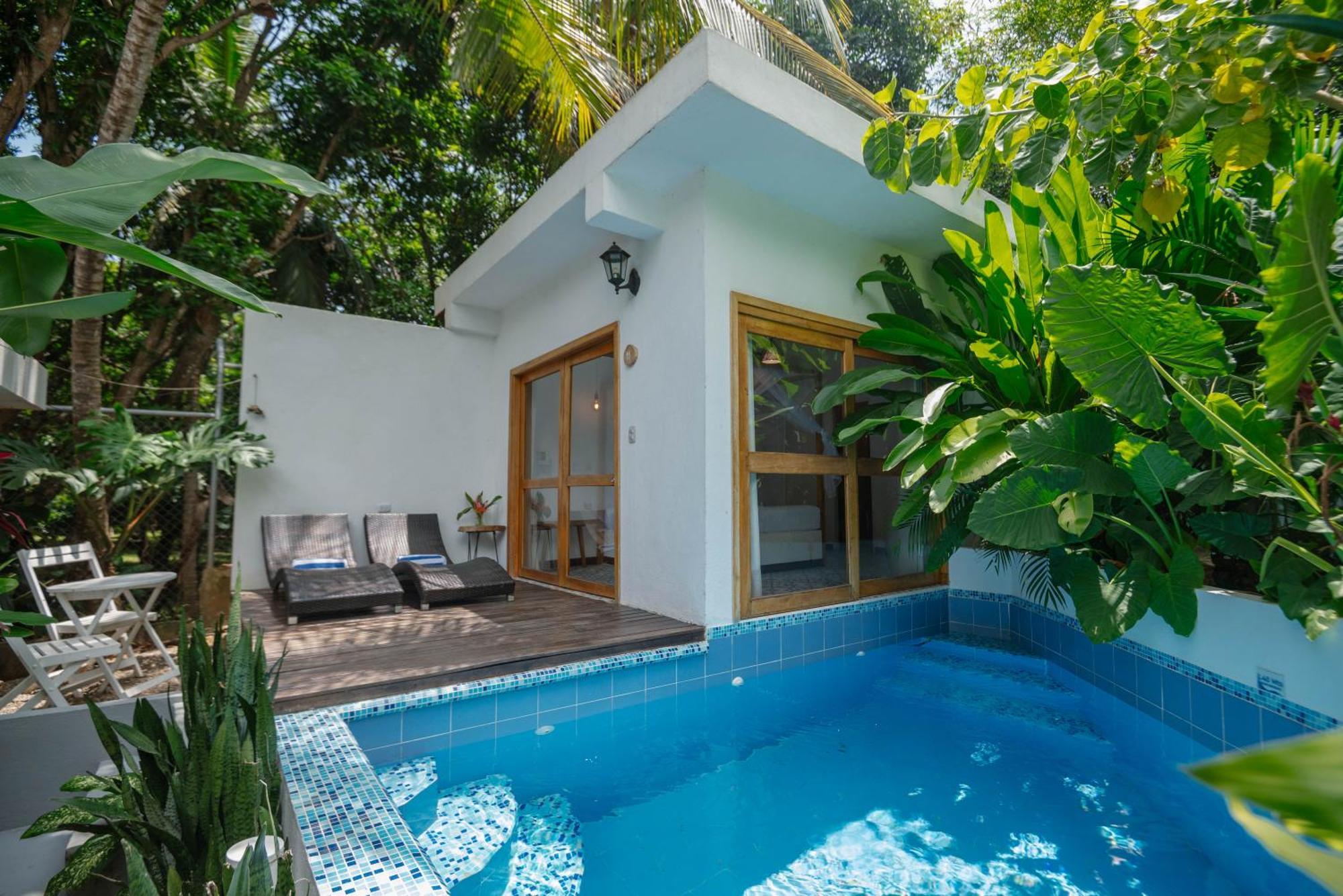 Casa Del Pavo Real Boutique Hotel Palomino Eksteriør billede