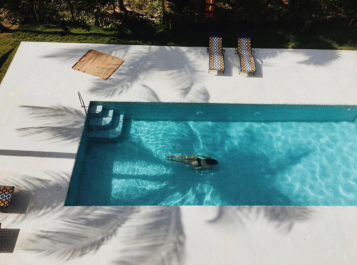 Casa Del Pavo Real Boutique Hotel Palomino Eksteriør billede