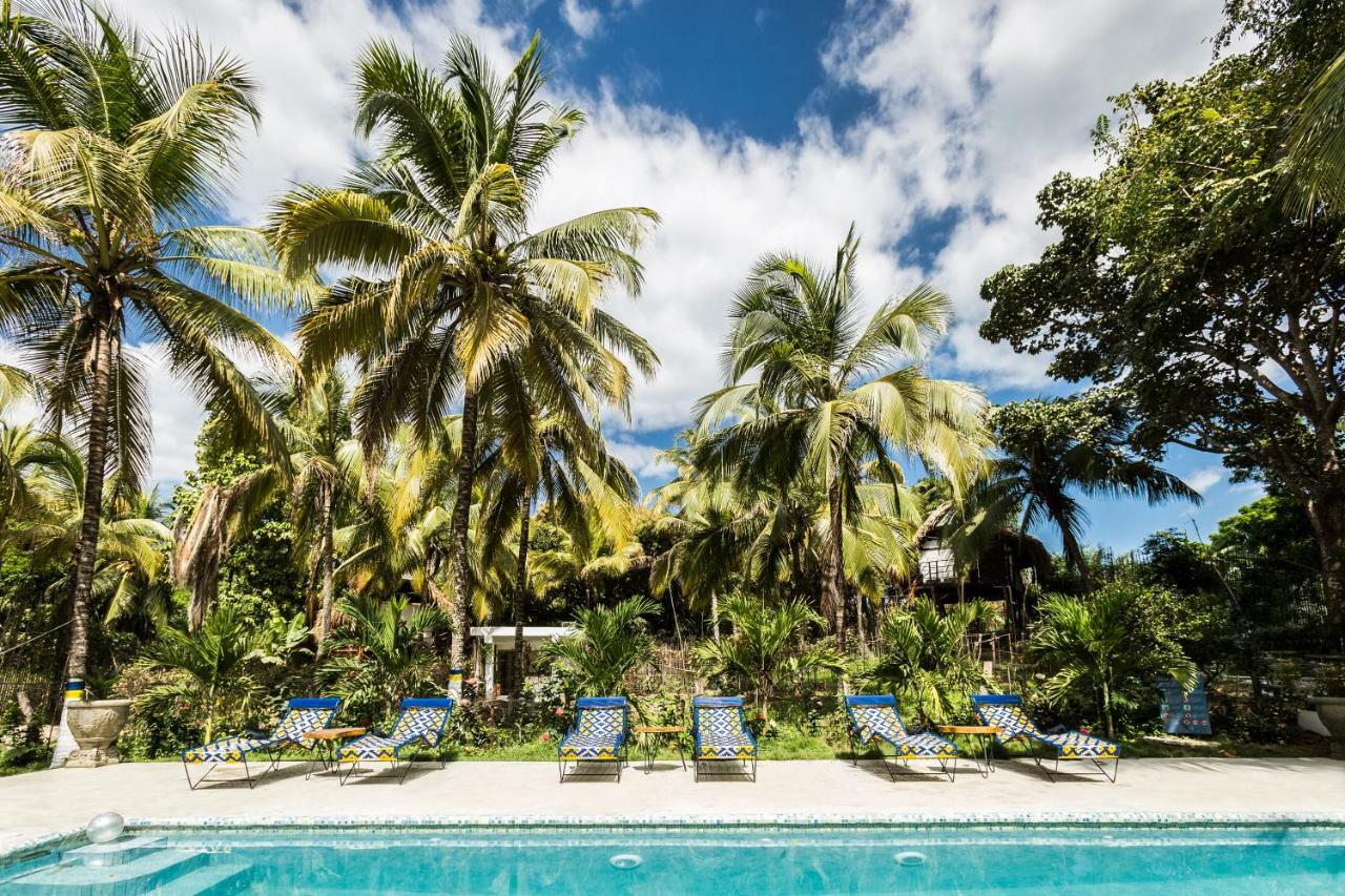 Casa Del Pavo Real Boutique Hotel Palomino Eksteriør billede