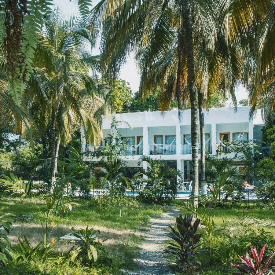 Casa Del Pavo Real Boutique Hotel Palomino Eksteriør billede
